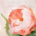 thumbnail image 2 of Kimberly, Allen 15x15 White Modern Wood Framed Museum Art Print Titled - Pink Peony, 2 of 4