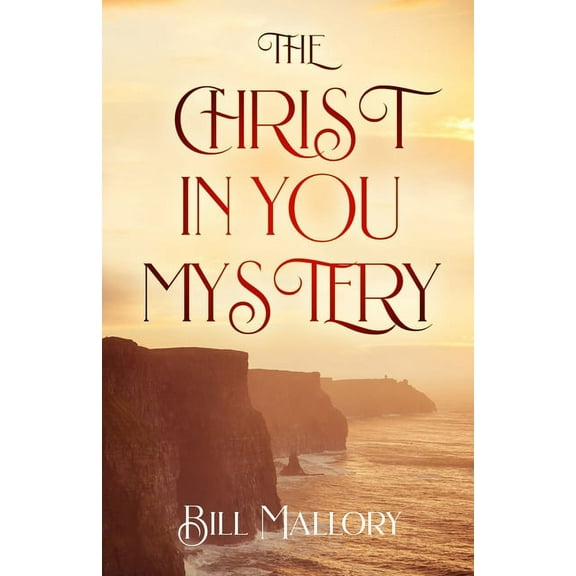 The Christ In You Mystery (Paperback)