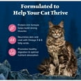 thumbnail image 5 of Blue Buffalo Wilderness Natural High Protein Dry Food for Adult Cats, Salmon, 11-lb Bag, 5 of 12
