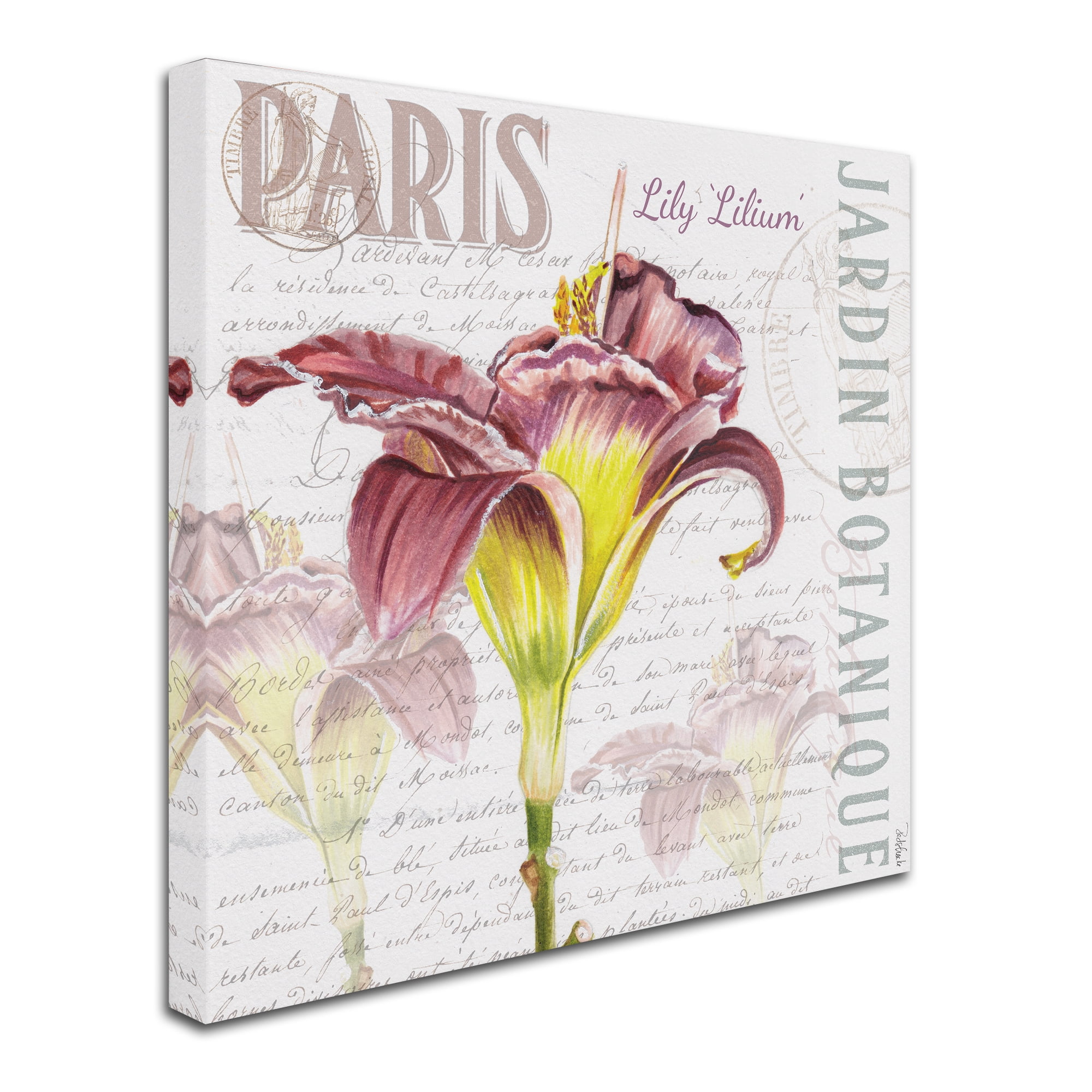 Trademark Fine Art "Paris Botanique Lily Burgundy" Canvas Art by Jennifer Redstreake