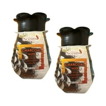 Great Scents Odor Eliminating Beads, Charcoal Noir, 12 oz, 2 Pack – Air Freshener and Deodorizer for Home, Bathroom, Closet, and Pet Areas