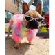 thumbnail image 5 of Ropa de mascota de invierno EUROPEO Y AMERICANO PEQUEÑO PEQUEÑO Ropa de perro Suéter de invierno Suéter suave para un perro Colco suéter de invierno cachorro, 5 of 8