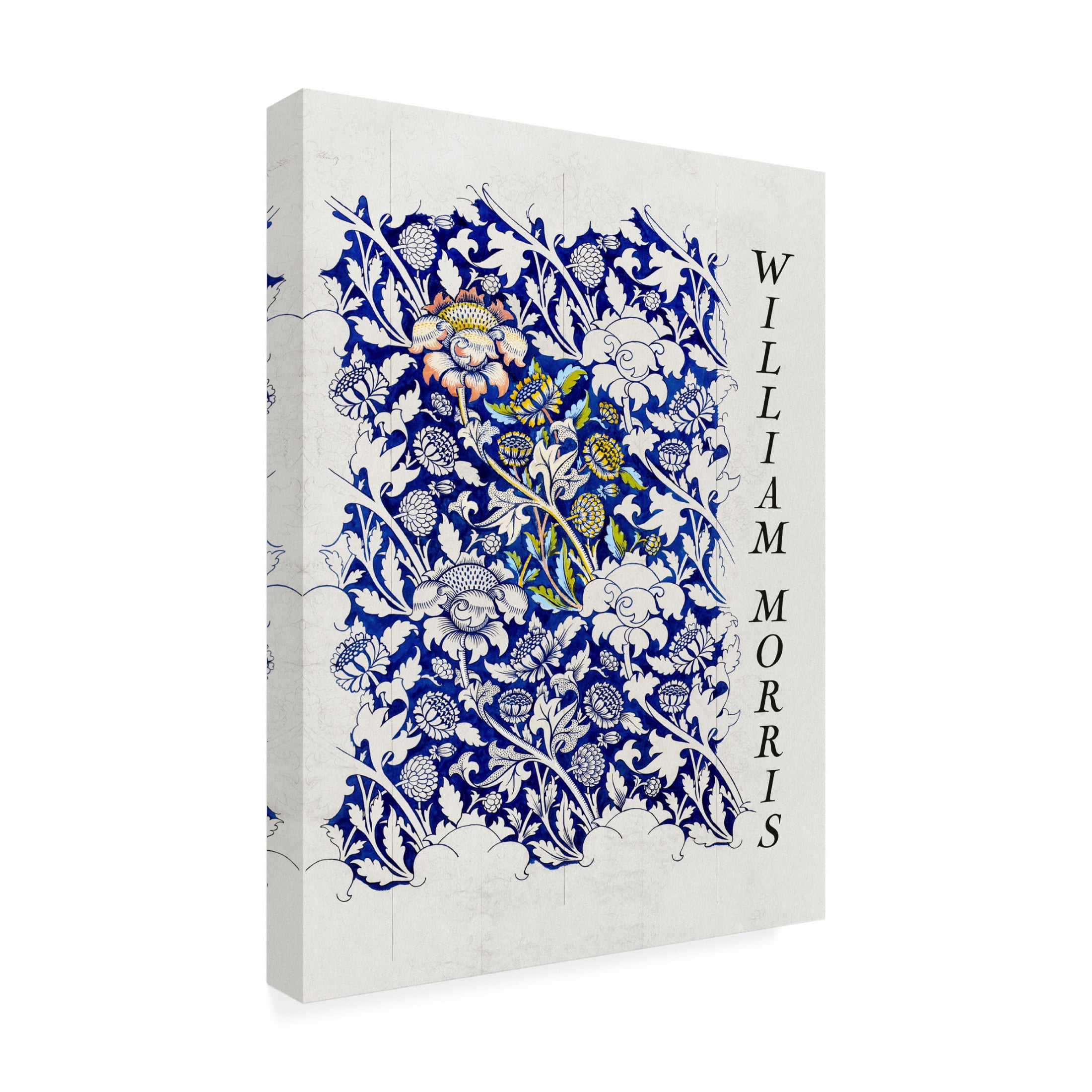 Trademark Fine Art Pictufy Wey Canvas Wall Art