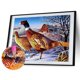 thumbnail image 2 of 5D bricolaje completo taladro diamante pintura paloma cruz puntada bordado hogar decoración arte Hugtrwg Para estrenar, 2 of 8