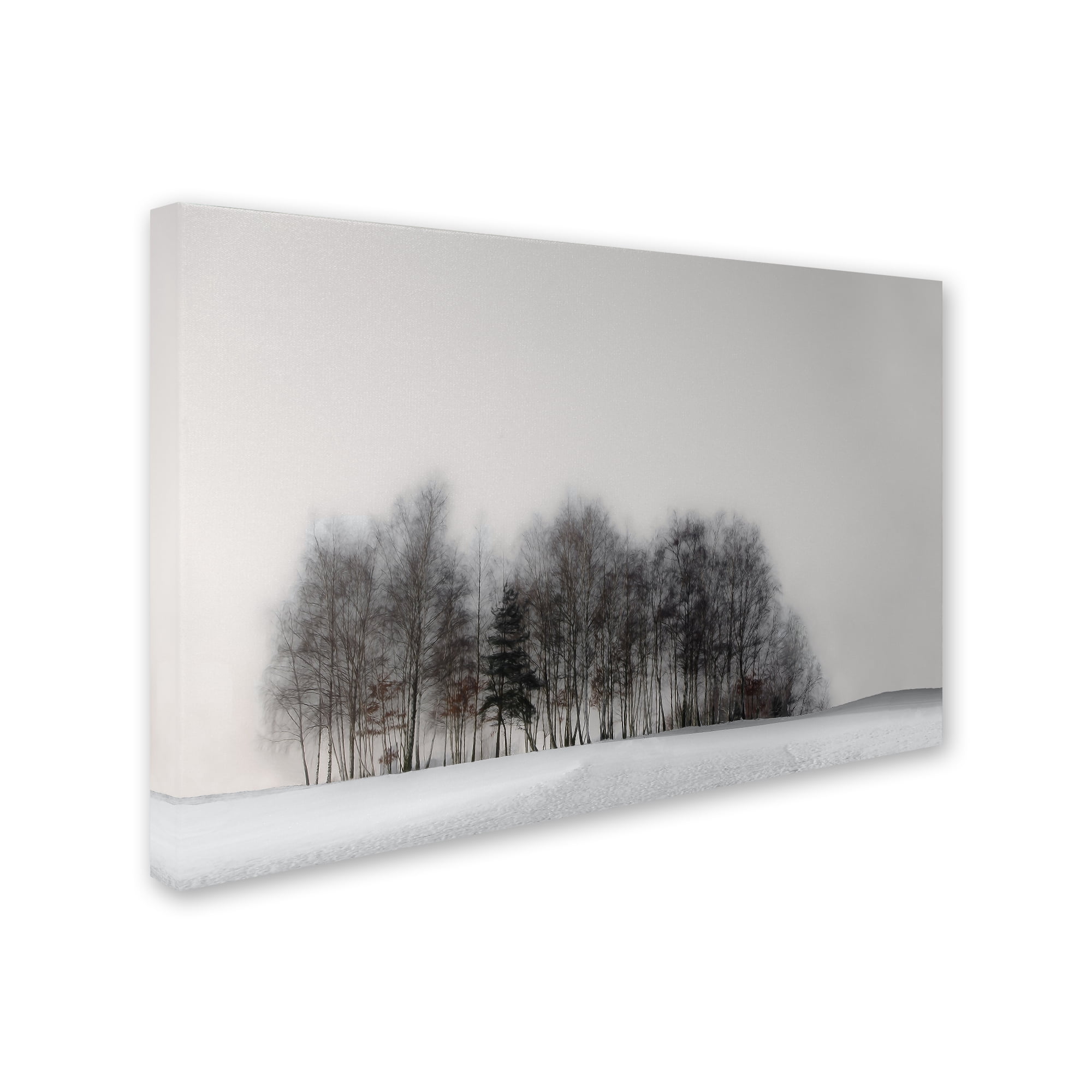 Trademark Fine Art 'Winter Forest' Canvas Art by Gilbert Claes