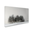 thumbnail image 2 of Trademark Fine Art 'Winter Forest' Canvas Art by Gilbert Claes, 2 of 3