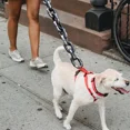thumbnail image 2 of Correas Para Perros Cadenas Para Perros Cadena Grande Para C, 2 of 8