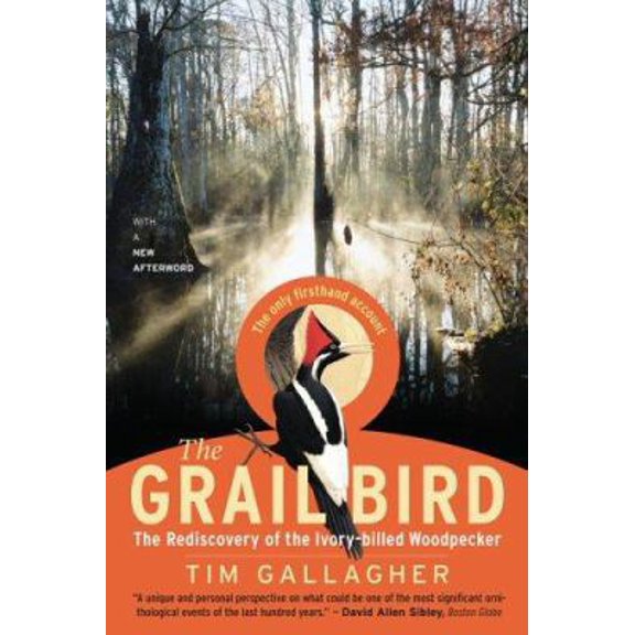 Pre-Owned The Grail Bird: The Rediscovery of the Ivory-billed Woodpecker (Paperback) 061870941X 9780618709410