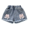 thumbnail image 2 of Gamivast Little Girls High Elastic Denim Shorts Elastic Waistband Flower Embroidery Jeans Loose Casual Summer Pull On Shorts Pink 10-12 Pantalones Cortos Para Niños, 2 of 8