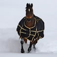 thumbnail image 1 of Noble Equestrian Guardsman 4-in-1 Blanket 75, 1 of 1