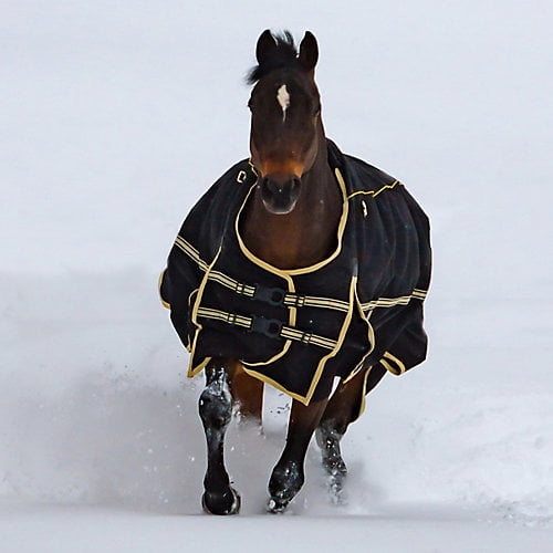 Noble Equestrian Guardsman 4-in-1 Blanket 75