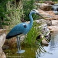 thumbnail image 2 of Aquascape 81030 Standing Heron Decoy, 2 of 2