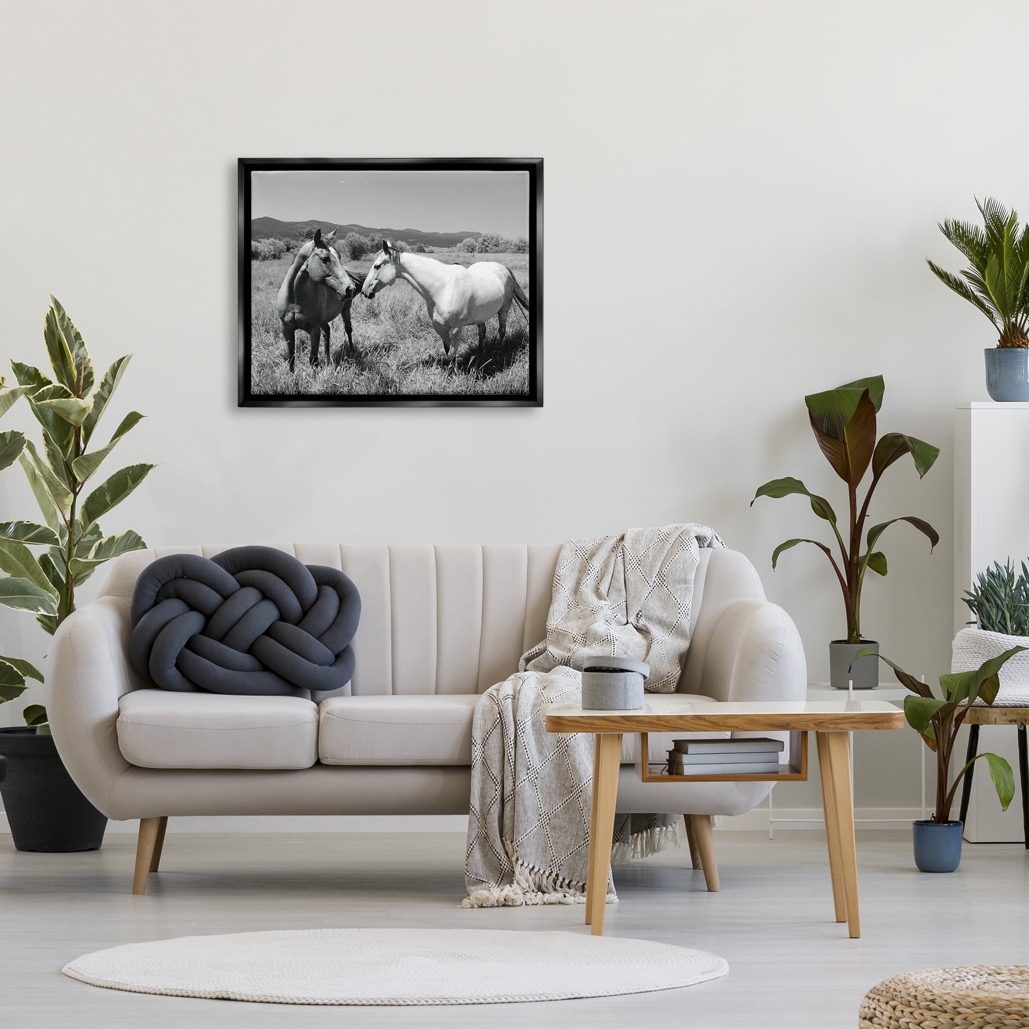 Stupell Industries Two Horses Photography Landscape Photography Black Floater Framed Canvas Art Print Wall Art, 31 x 25