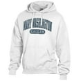 thumbnail image 2 of Men's Comfort Wash  White University of Mary Washington Eagles Lightweight Fleece Pullover Hoodie, 2 of 3