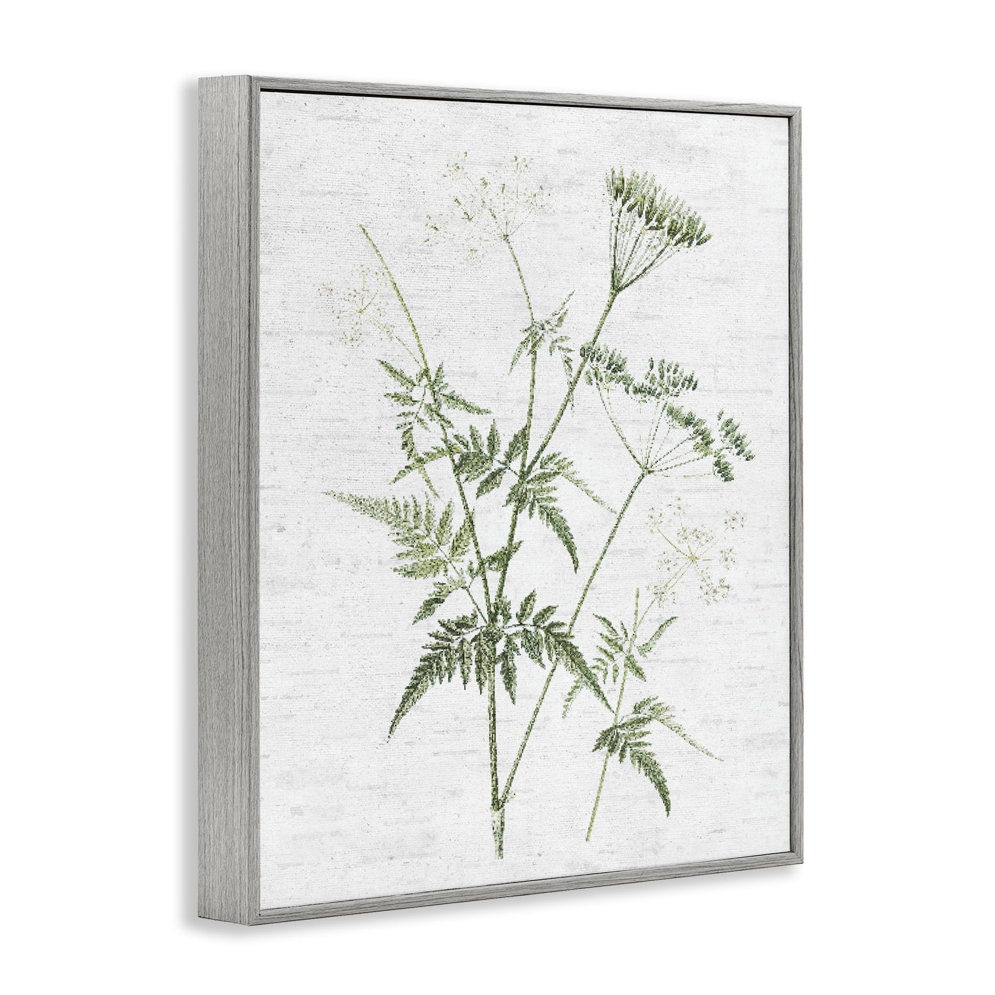 Stupell Industries Soft Blooming Bud Botanical & Floral Painting Gray Framed Art Print Wall Art, 24 x 30
