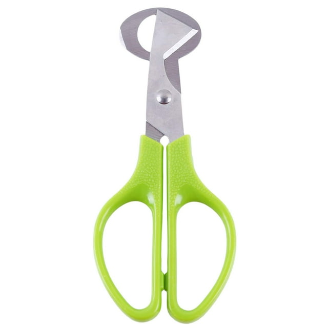 Herramienta cortadora de huevos de codorniz Pigeon Bird Tijeras para huevos de codorniz Abridor Cascanueces Hoja de acero inoxidable Herramienta de cocina
