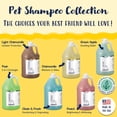 thumbnail image 3 of Bobbi Panter Dazzling Dog Argan Signature For Dogs, 1 Gal, 3 of 5
