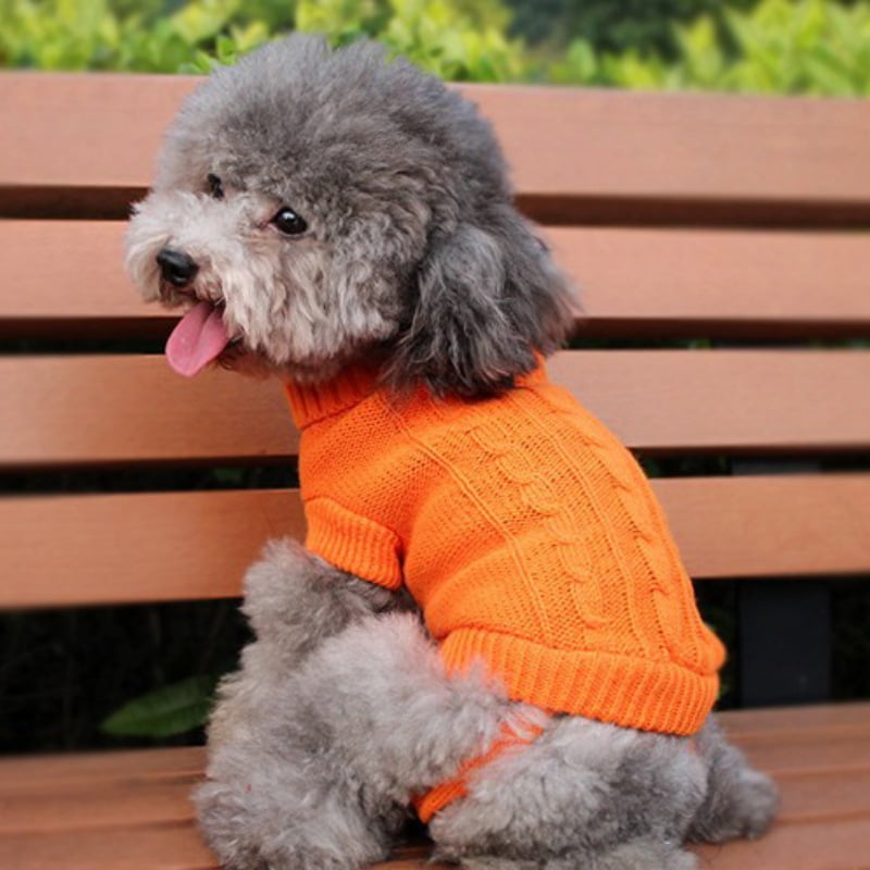 orange dog sweater