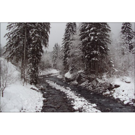 24"x36" Gallery Poster, A winters river near Sixt Fer a Cheval, France