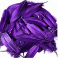 thumbnail image 3 of DIY Floating Feathers for Hair Crafts, Large Decorative Feathers for Wedding and Party Decor, 3 of 4