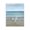 Three Shorebirds at Shoreline, variant on Stupell Industries Three Shorebirds & Gentle Waves Canvas Wall Art, design by Nan