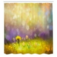 thumbnail image 3 of Ambesonne Floral Shower Curtain, Yellow Dandelion Field, 69"Wx70"L, Purple Green, 3 of 5