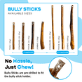 thumbnail image 4 of 7" Standard Bully Sticks - Refill Pack, 4 of 6