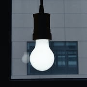 Great Value A19 LED 4.5W (40W Equivalent) Daylight E26 Medium Base Light Bulbs, Dimmable, 4 Pack