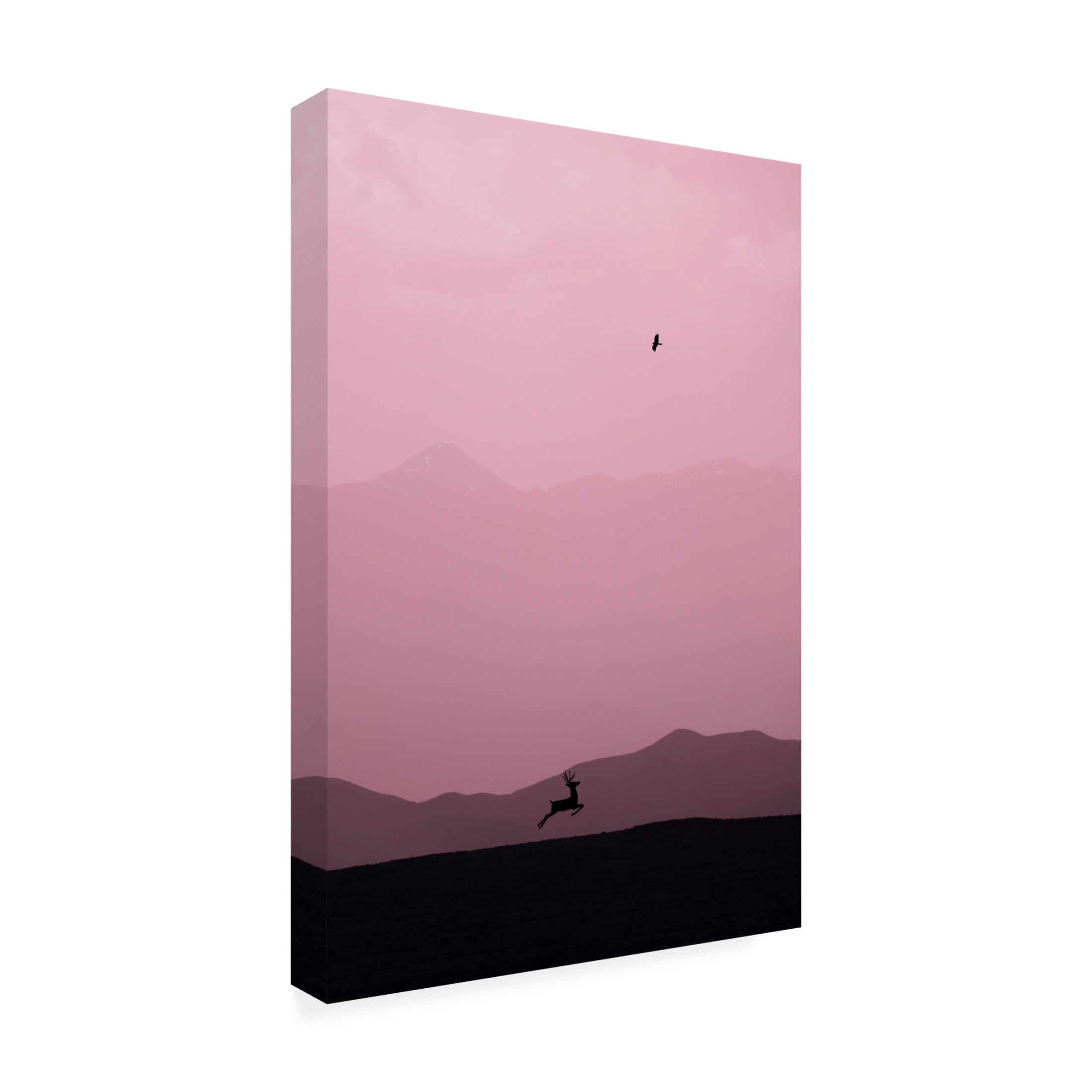 Trademark Fine Art Xiaopeng Guan  caracc Canvas Wall Art