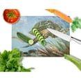 thumbnail image 2 of Caroline's Treasures Loggerhead Sea Turtle Glass Cutting Board Large, 2 of 2