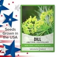 thumbnail image 6 of Bouquet Dill Seeds, 6 of 7