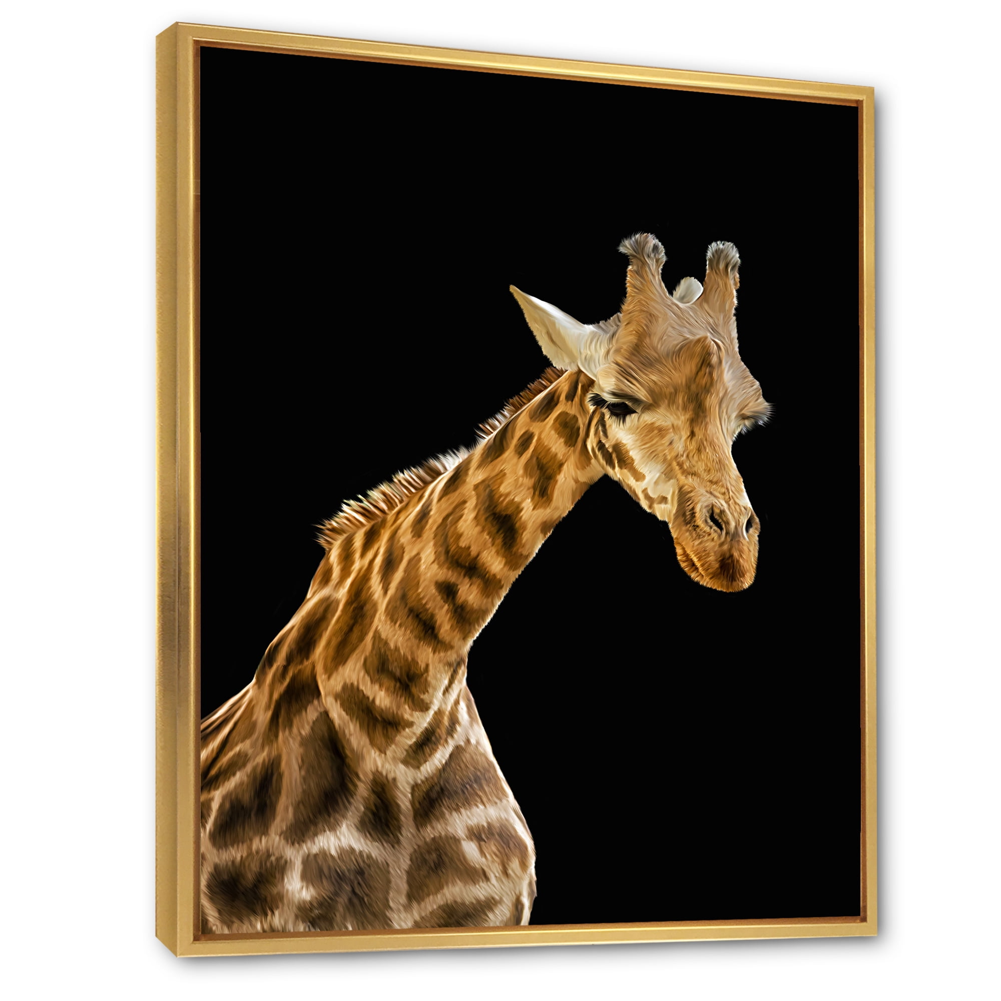 Designart 'Portrait of A Giraffe On Black Background II' Farmhouse Framed Canvas Wall Art Print