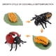 thumbnail image 5 of Fiudx Ofertas flash del día solo en línea Figura de insecto de 4 piezas, ciclo de vida, cría de plástico hasta período, 5 of 7