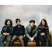Fall Out Boy - Folie a Deux - Music & Performance - Vinyl