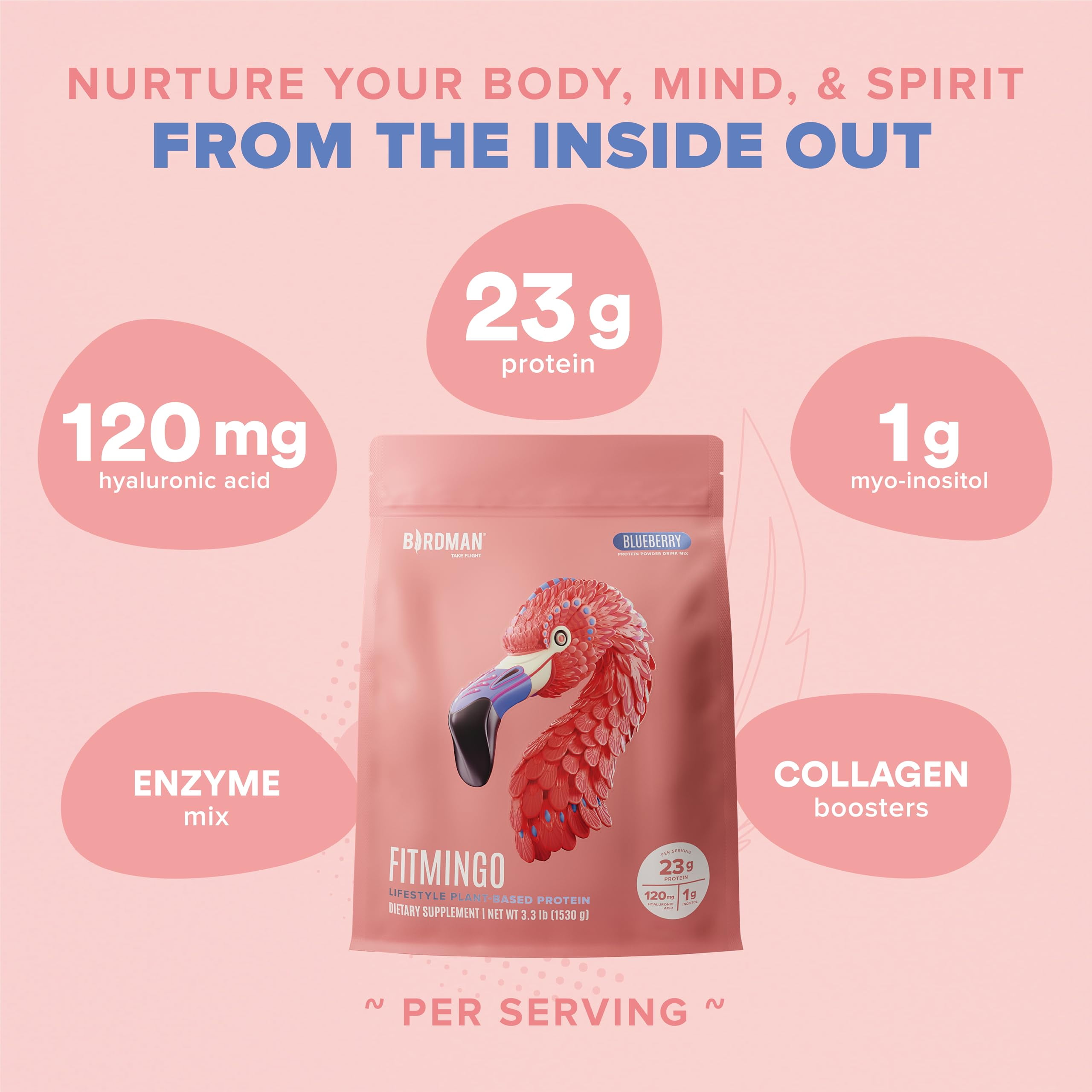 BIRDMAN Fitmingo Vegan Protein Powder with Inositol, 3 Blends, Blueberry, 45 Servings, 3.3lb