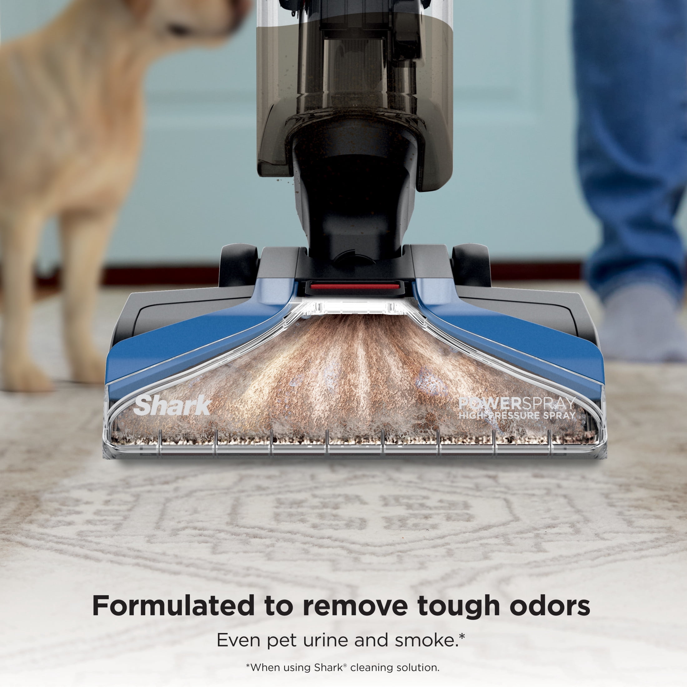 Shark CarpetXpert Upright Carpet & Area Rug Cleaner, Pet Friendly, Lightweight & Powerful, Dirt & Odor Removal, Carpet Shampooer, Cleaning Solution, EX120 Blue