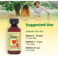 thumbnail image 3 of ChildLife Essentials Liquid Zinc Plus - Immune Support for Kids, Mango Strawberry Flavor, 4 Fl Oz (Pack of 3), 3 of 4