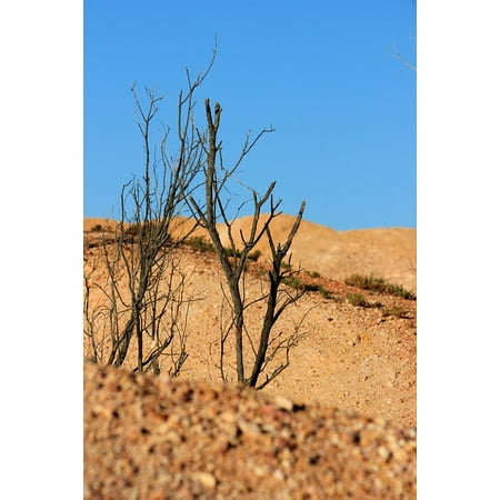 Australian Outback Travel - Canvas Print Australia Travel Nature Bush Outback Landscape Stretched Canvas 10 x 14