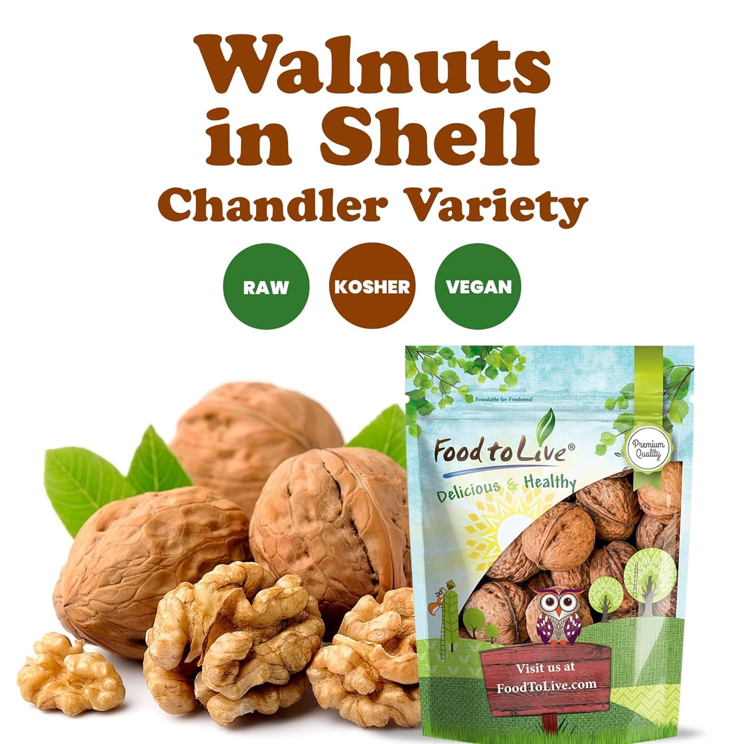 Food to Live Jumbo Walnuts in Shell, 4 Pounds – California Chandler Variety. Fresh, Raw, Kosher, Bulk