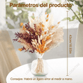 thumbnail image 2 of 64pzs Pampas Secas Plantas Decorativas Flores Artificiales Respetuoso Xtellar cafe, 2 of 3