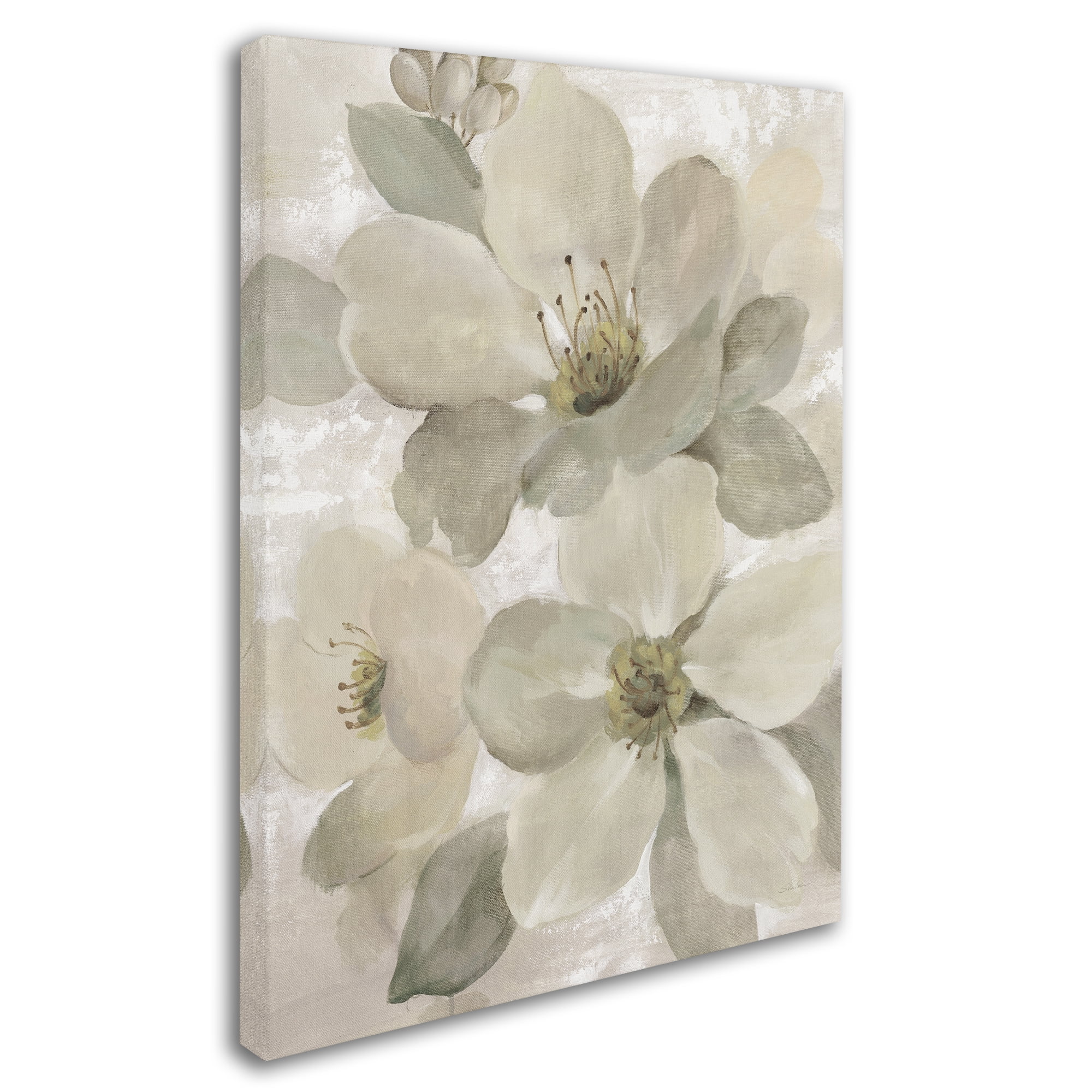 Trademark Fine Art 'White on White Floral I Crop Neutral' Canvas Art by Silvia Vassileva