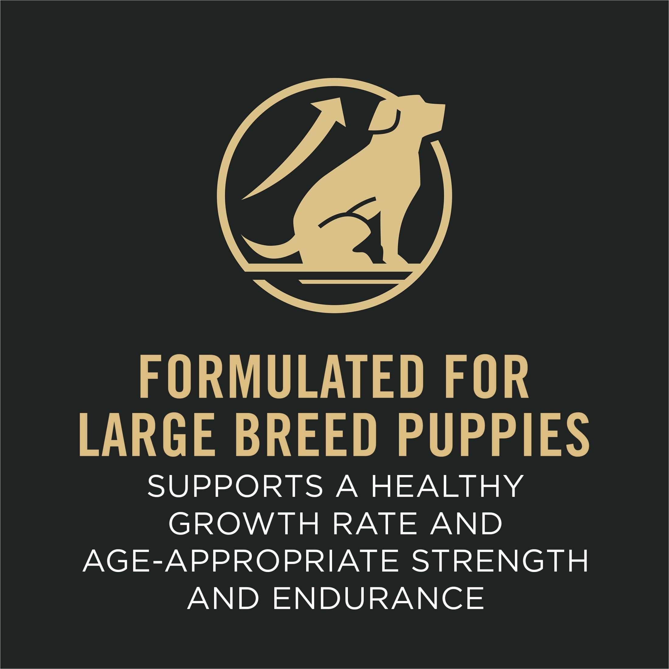 Purina Pro Plan Sport Development Large Breed 30/18 Chicken and Rice High Protein Dog Food Dry Puppy Formula, 18 lb Bag