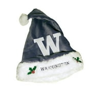 Forever Collectibles NCAA Santa Hat