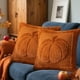 thumbnail image 4 of Sofás para la Sala de Estar Wansheng Calabaza de Peluche Funda de Almohada 18x18 Pulgadas Casa Sala de Estar Sofá Cojín Cubierta de Vacaciones Calabaza Doble Cara Terciopelo Funda de Almohada, 4 of 6