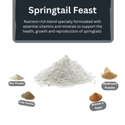 BugzyBugs Springtail Feast Powder Food for Springtail Isopod, 5 oz Bottle