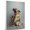 Anatolian Shepherd, variant on Komondor Dog Stretched Canvas Size 8x12 Saxophone Canvas – Funny Komondor Dog Team Player Wall Art, Ideal Gift Saxophone , Dog Owner