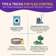 Hot Shot BedBug and Flea Fogger with Nylar, 2 Ounce Cans, 3 Count