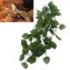 thumbnail image 1 of Planta colgante de vid falsa, planta de simulación de reptiles, vid verde decorativa, decoración de reptiles, verdadera excelencia, 1 of 8