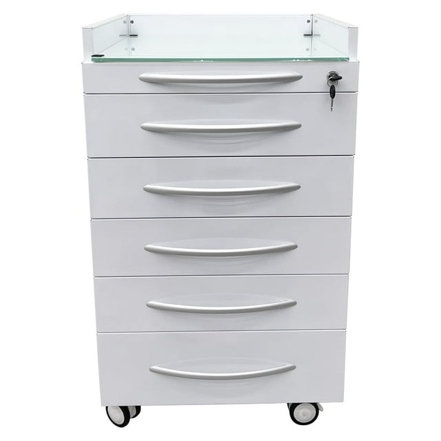 Armoire de Rangement Mobile Dentaire à 5 Tiroirs Armoire de Bureau pour Dossiers Armoire Latérale de Rangement Utilitaire en Acier Inoxydable