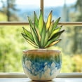 thumbnail image 1 of Danhjin Acrylic Potted Acrylic Potted Decoration Plugin Ornament Table Decor, 1 of 9